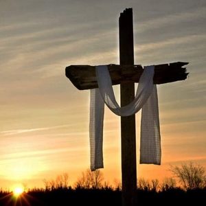 Meet your Posher, Joann